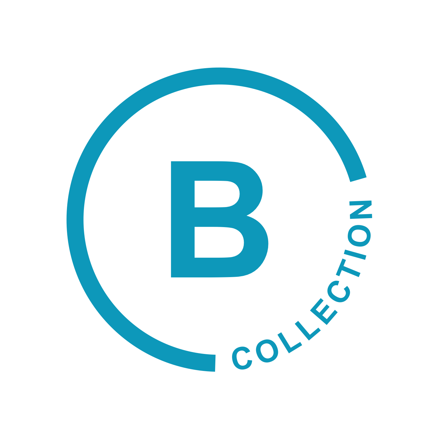 Blue Collection Real Estate